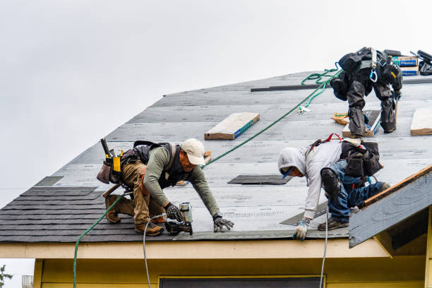 Professional Roofing technician working in Marion, WI